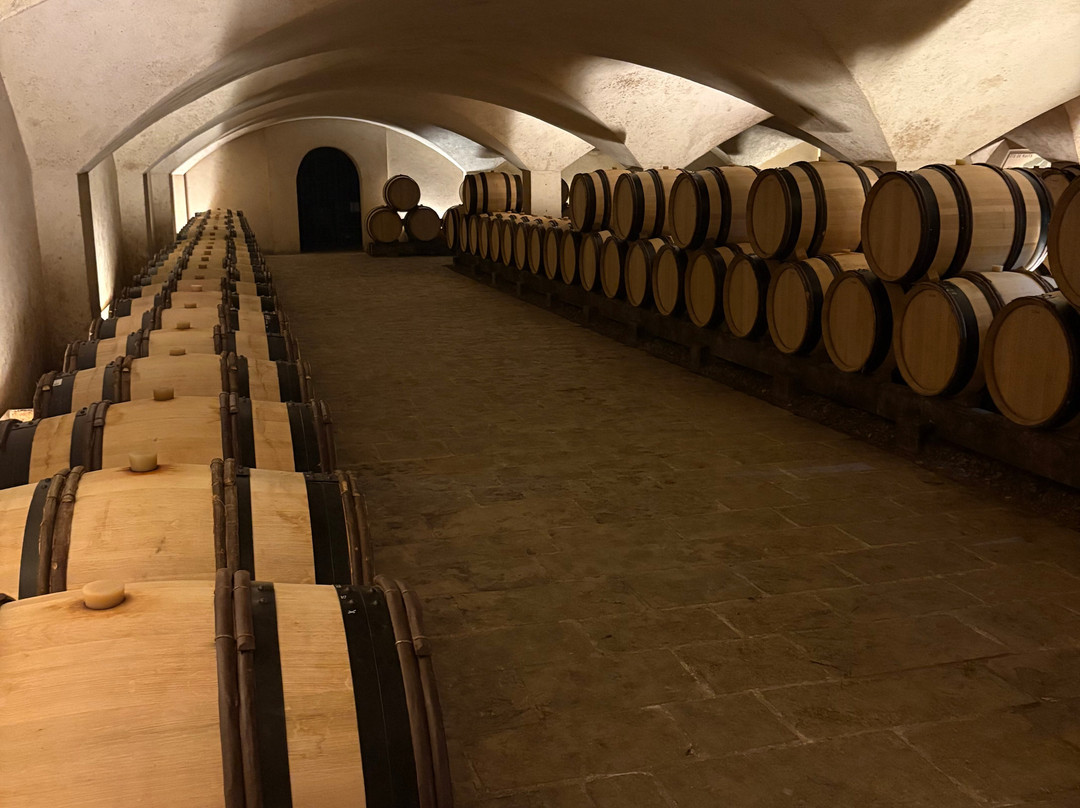 Château de Marsannay-马沙内丘必去景点