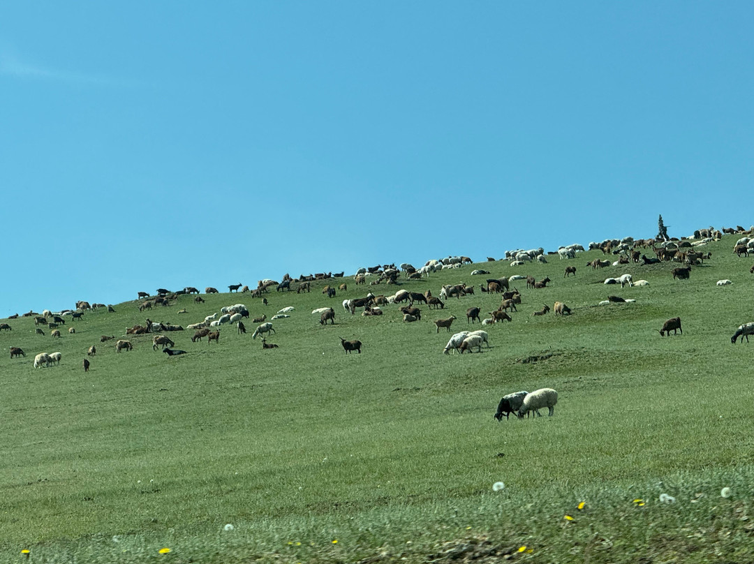 Discover Mongolia Travel-乌兰巴托必去景点