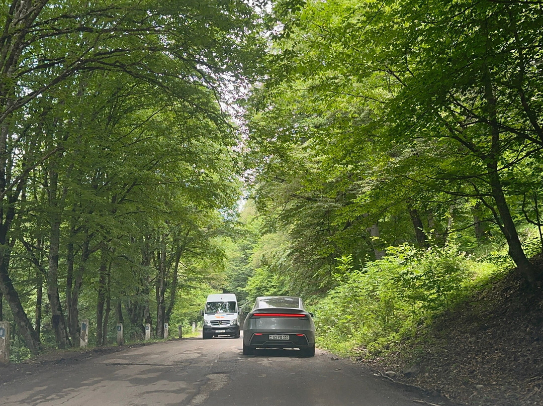 Dilijan National Park-Dilijan必去景点