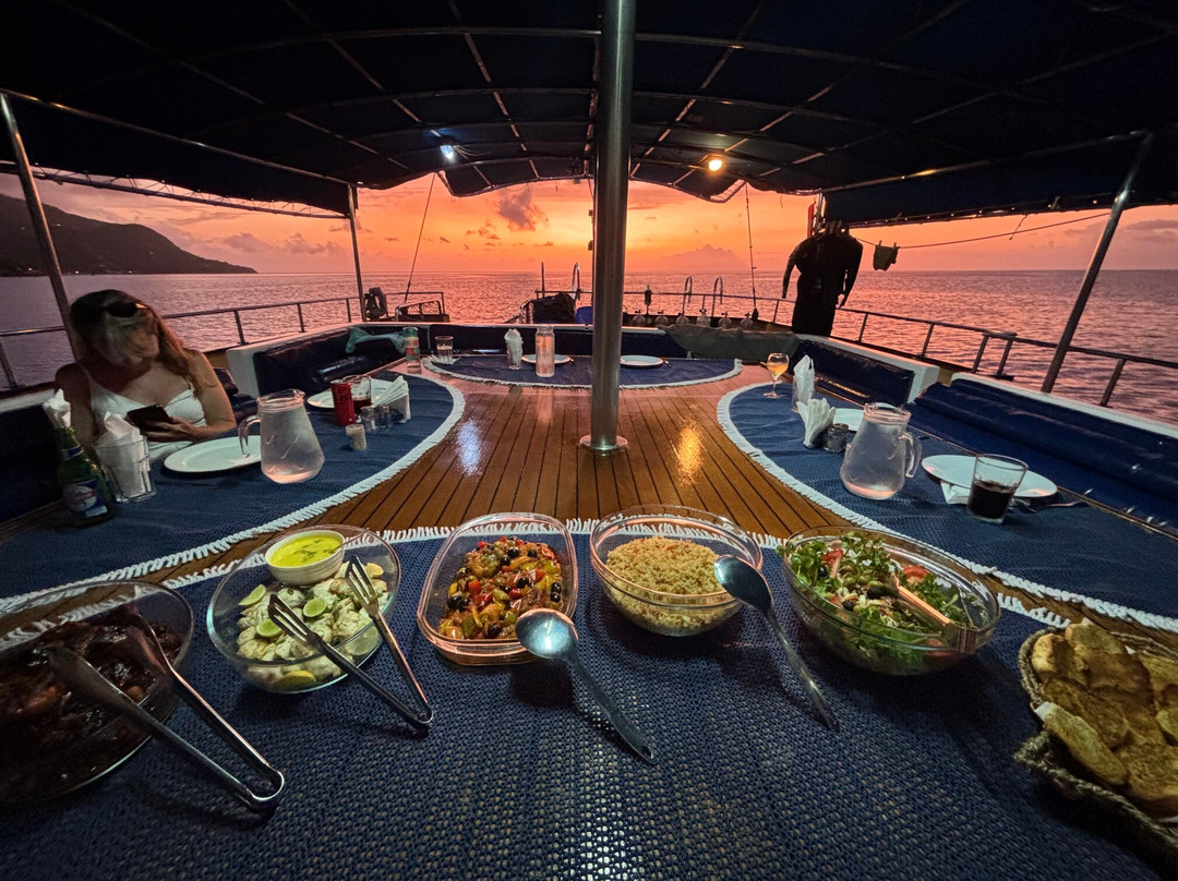 Silhouette Cruises