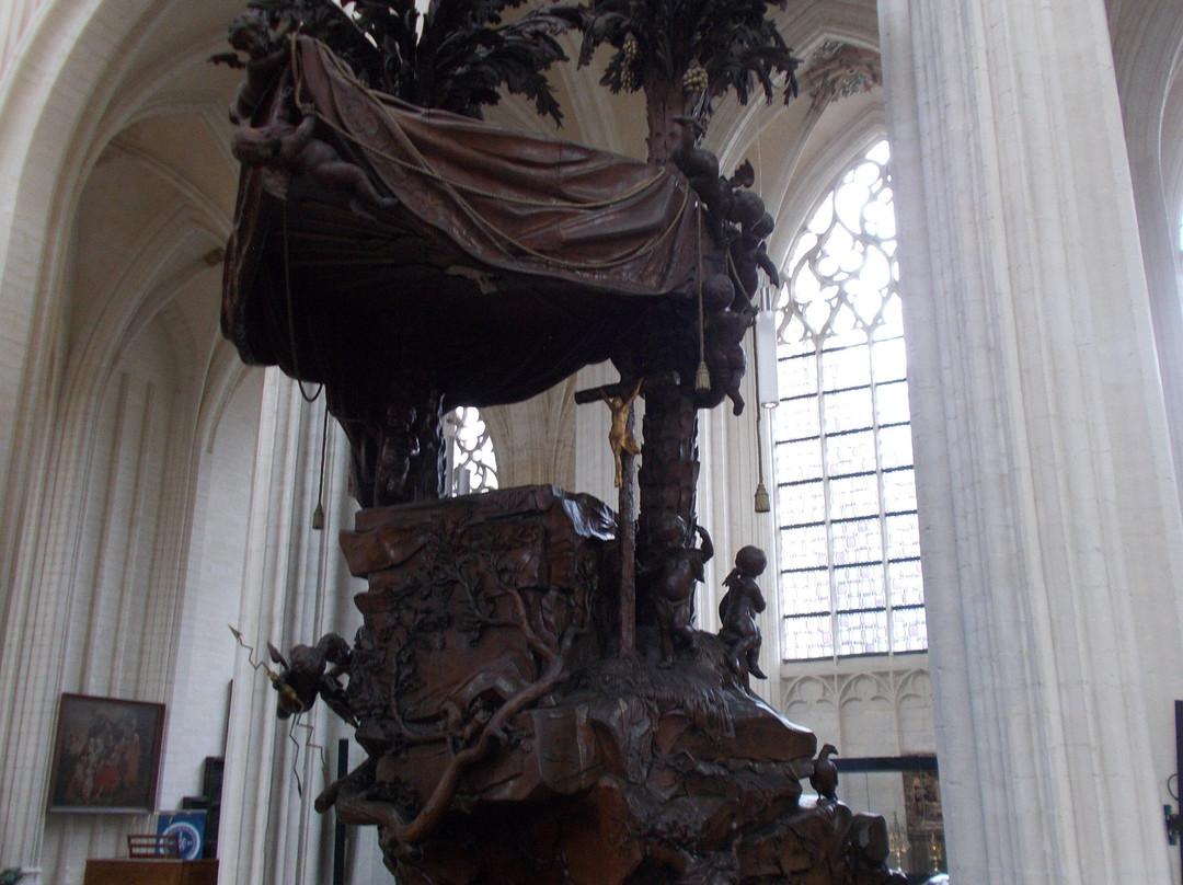 Saint Peter's Church (Sint-Pieterskerk)-鲁汶必去景点