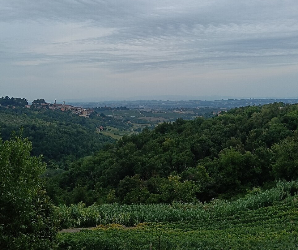 Agriturismo Cascina Imarisia-Ozzano Monferrato必去景点