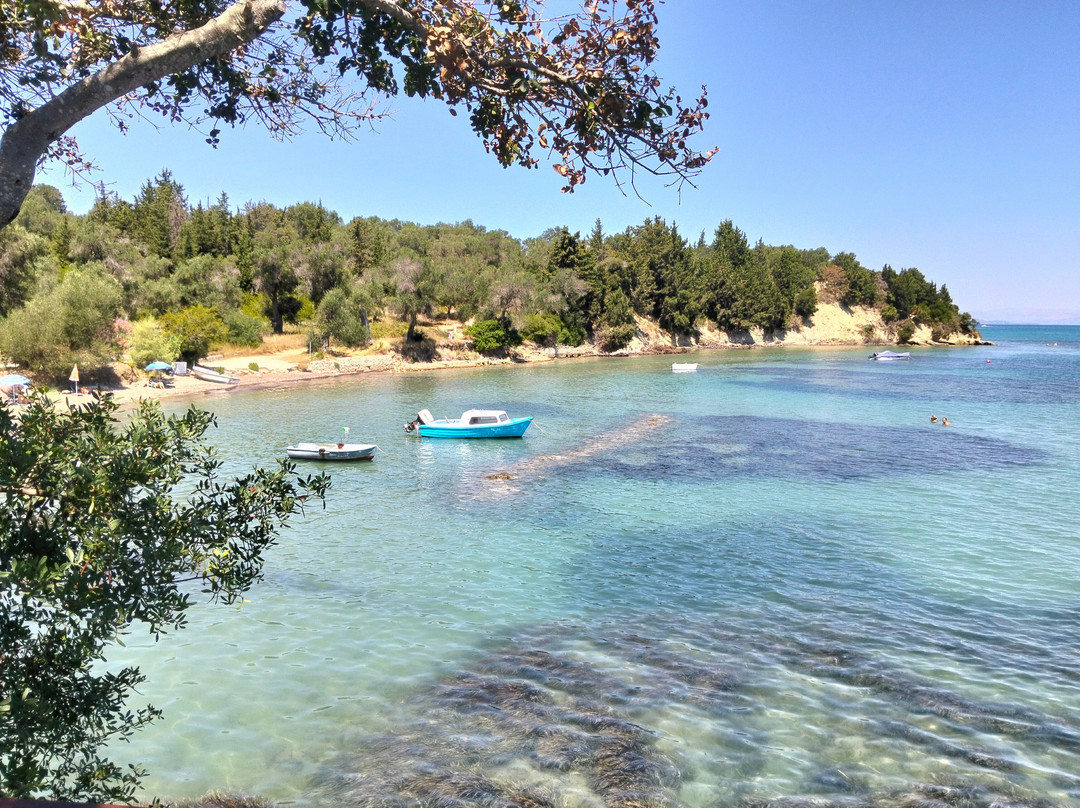 Captain Homer's Boat Trips-Messonghi必去景点