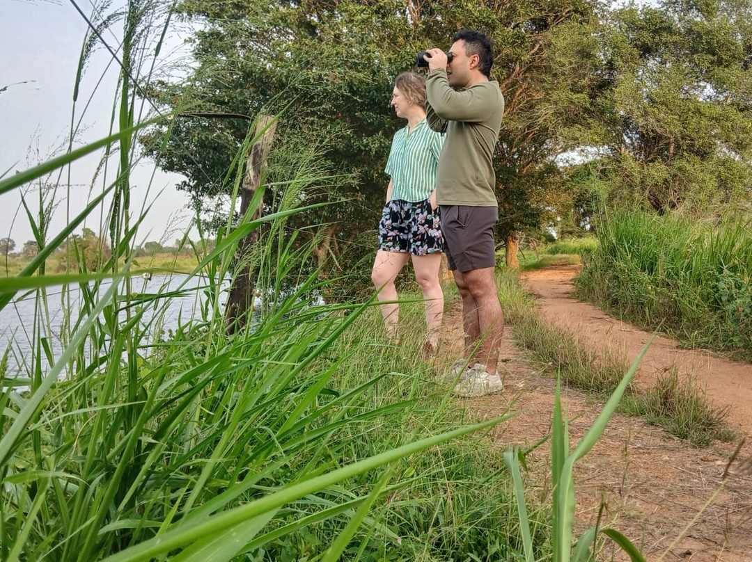Wilpattu Safari Expert-Nochchiyagama必去景点