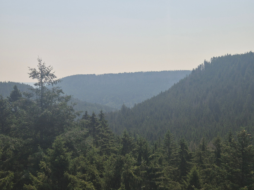 Nationalparkzentrum Ruhestein-Seebach必去景点