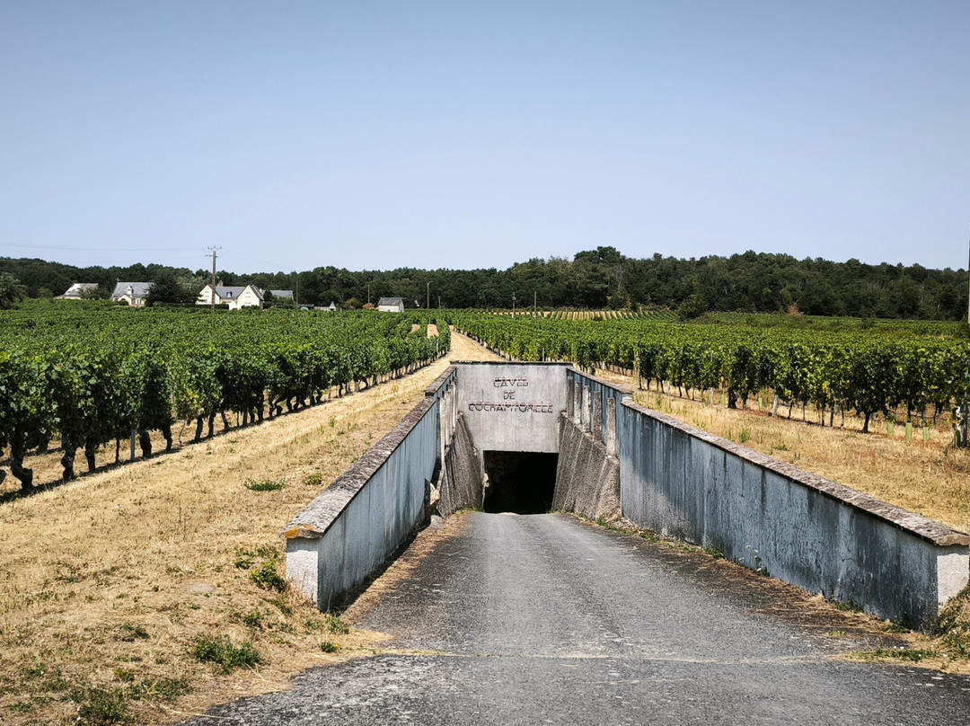 Cave Nathalie et David Drussé-Saint Nicolas de Bourgueil必去景点
