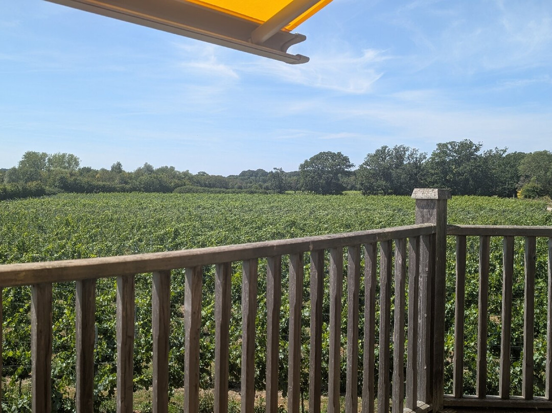 Oastbrook Estate Vineyard-Bodiam必去景点