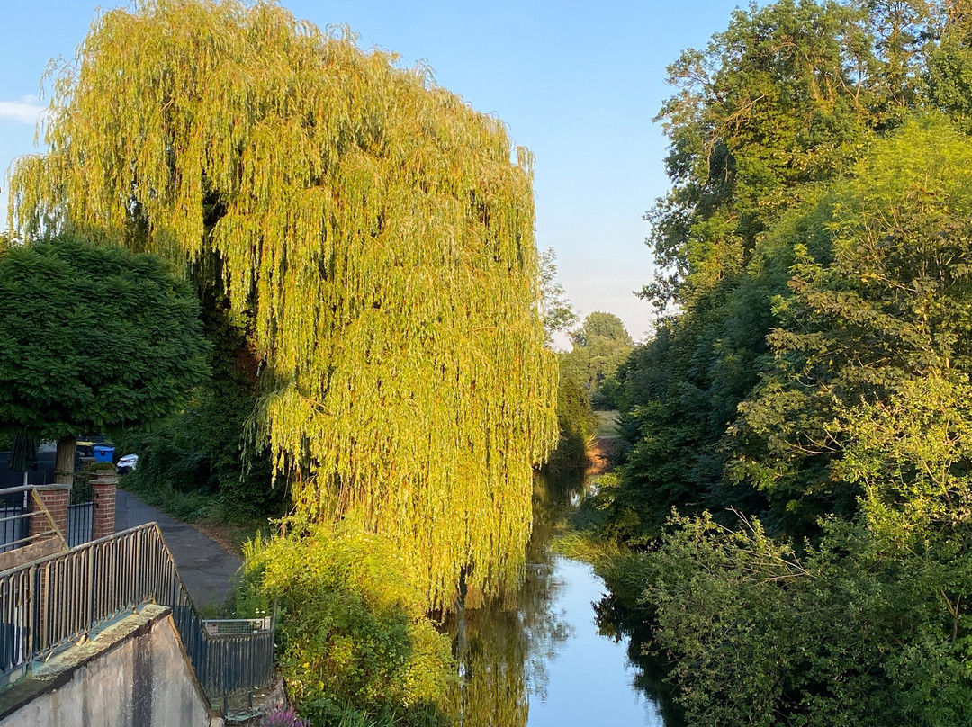 Hotel Marschtor