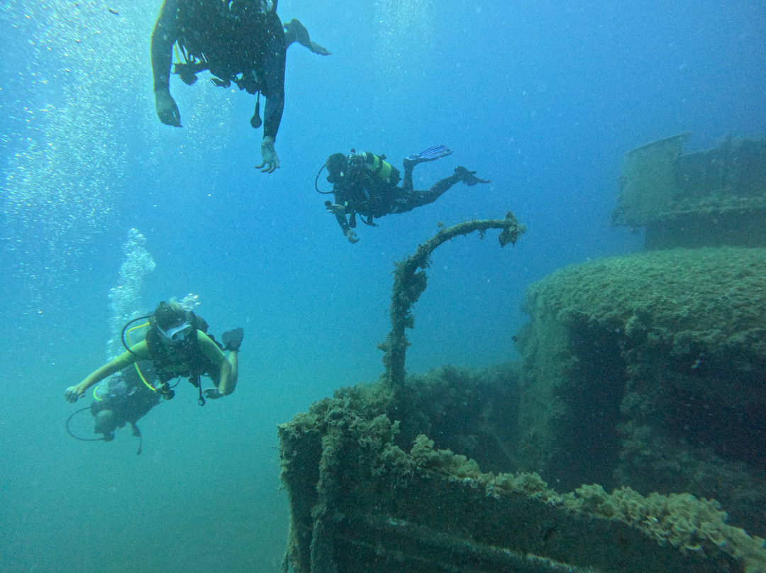 Pro Dive (Ex Blue Thunder Diving)-利马索尔必去景点