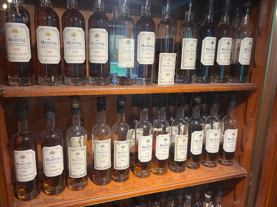 索德图纳城堡酒店主图