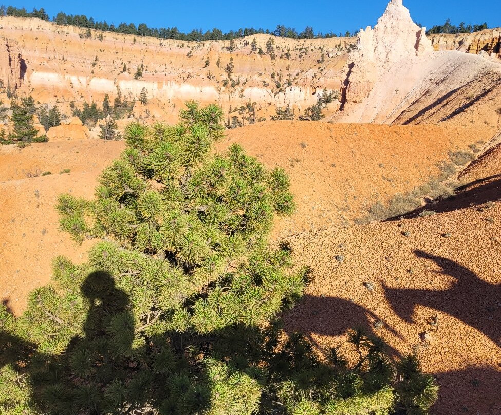 Canyon Trail Rides-特罗皮克必去景点