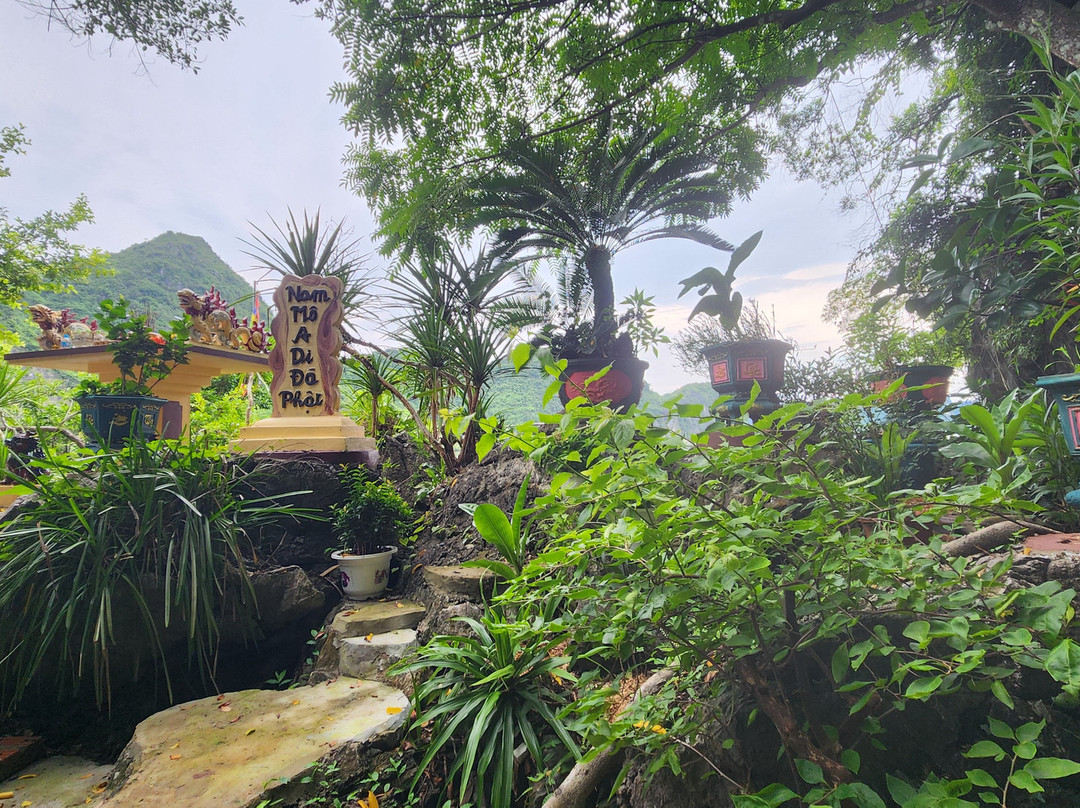 KingCong Travel-Cat Ba Town必去景点