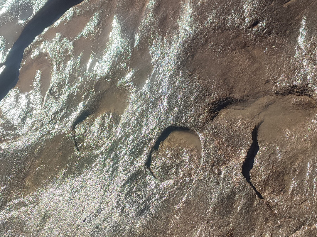 Subeng Dinosaur Foot Prints-Leribe District必去景点