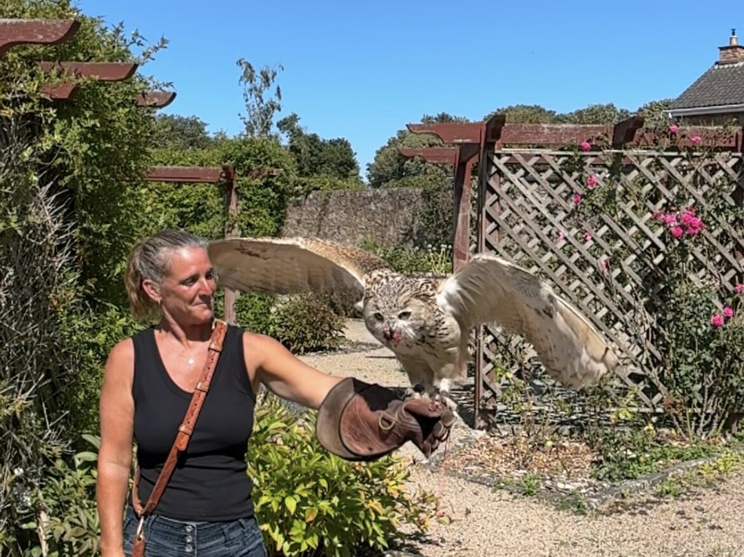 Jersey Falconry-St. John必去景点