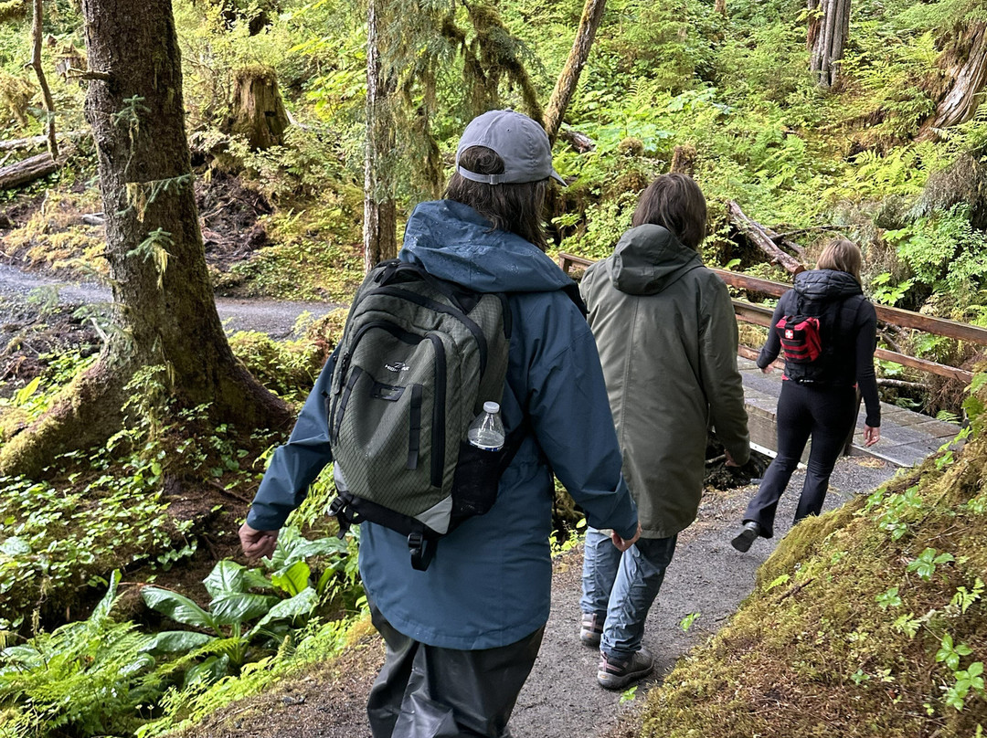 Anan Creek Bear Observatory-Wrangell必去景点