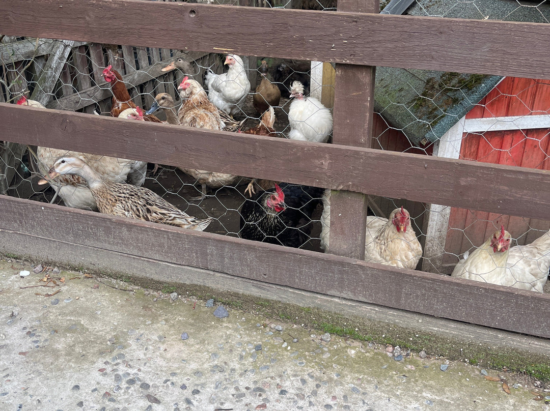 阿德小憩旅馆主图