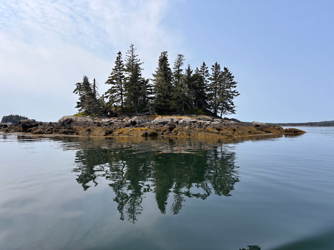 Robertson Sea Tours & Adventures-Milbridge必去景点