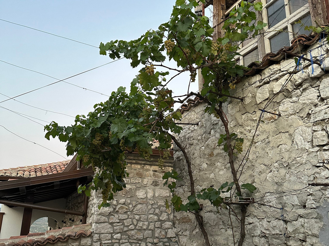 Berat Castle-培拉特必去景点