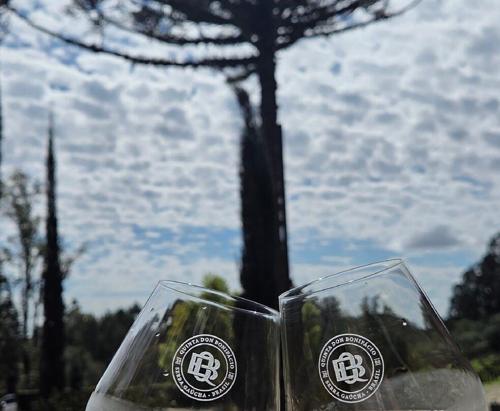 Vinicola Quinta Don Bonifacio-南卡希亚斯必去景点