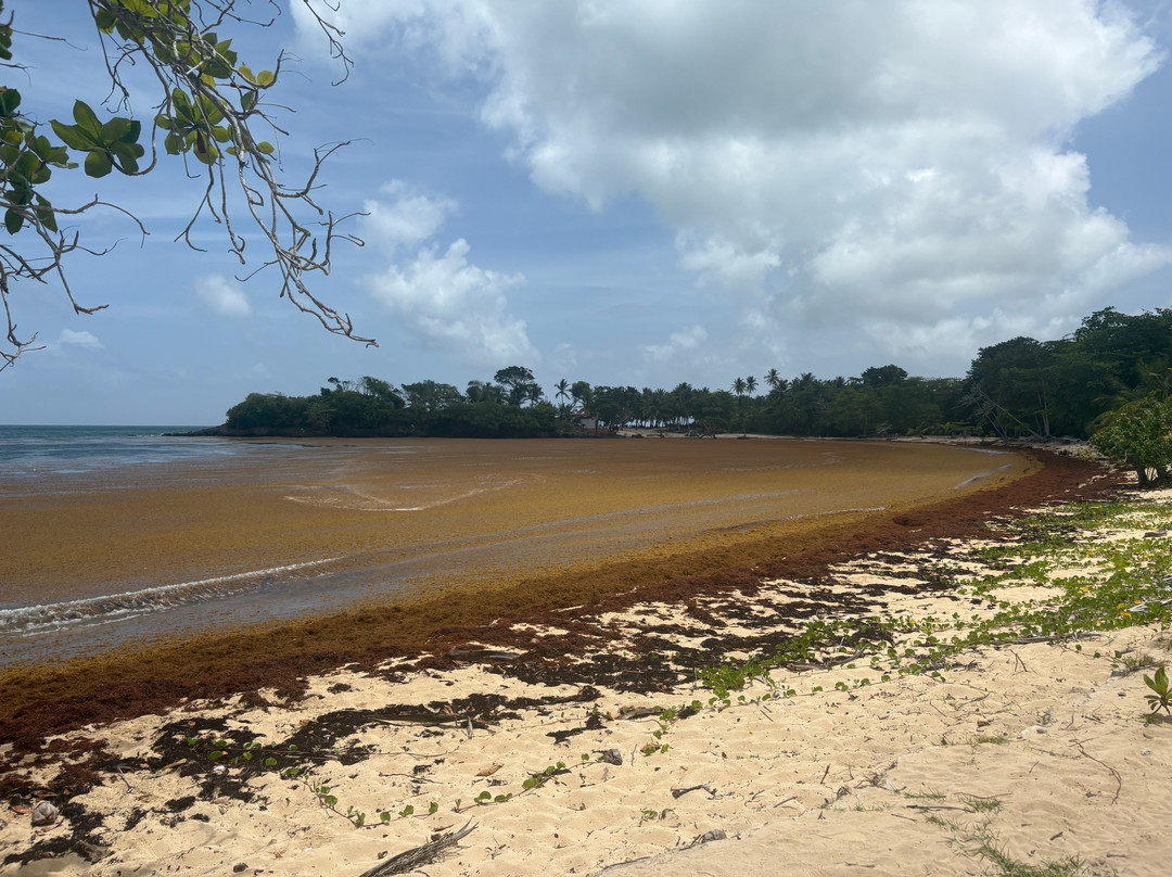 Playa Rincon-萨马纳半岛必去景点