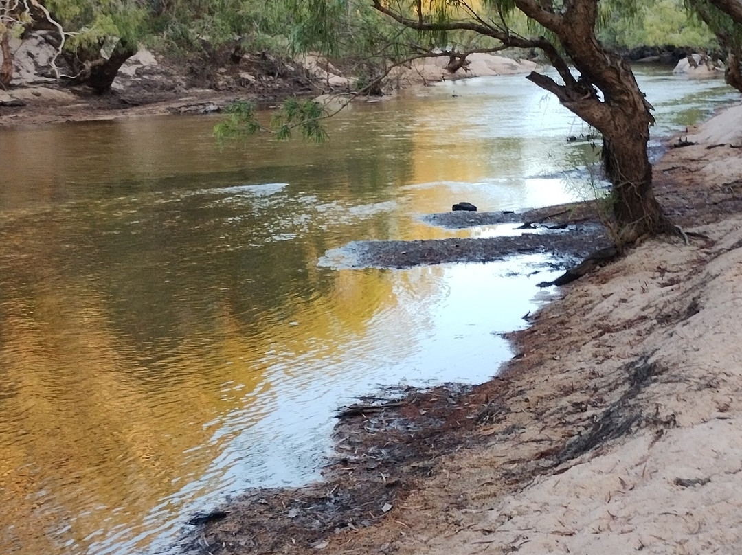 North West Outback Safaris-凯恩斯必去景点