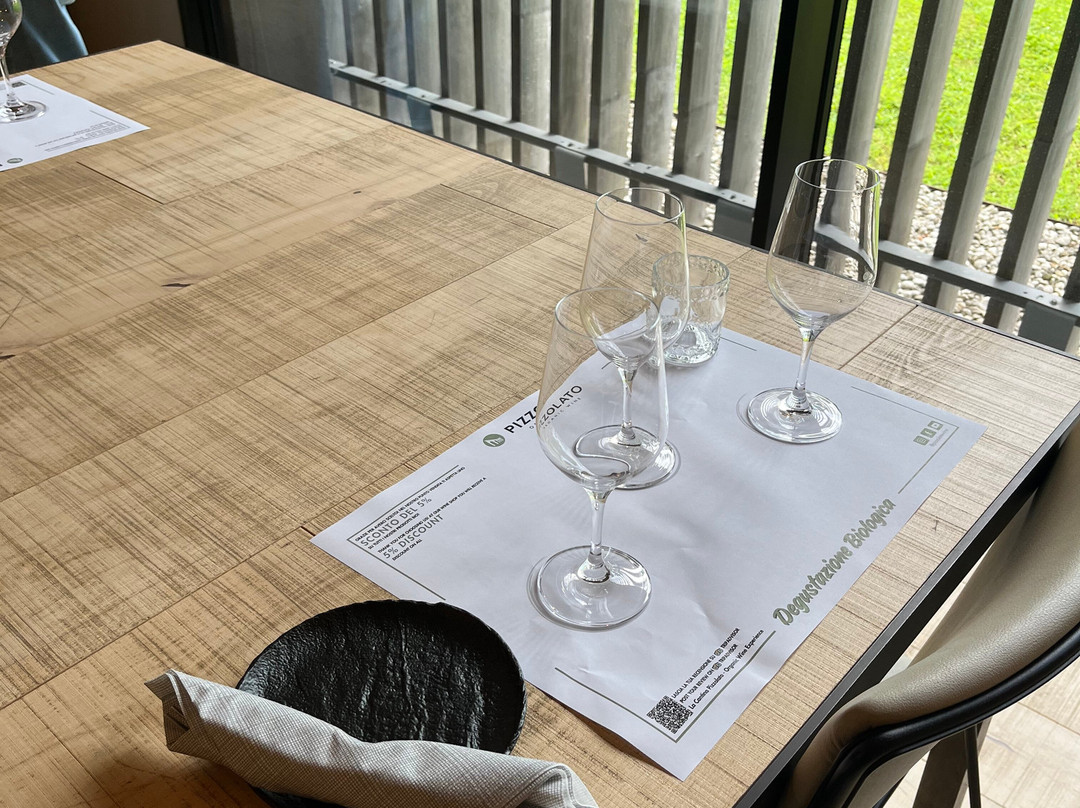 Cantina Pizzolato Società Benefit - Organic Wine Experience-维洛尔巴必去景点