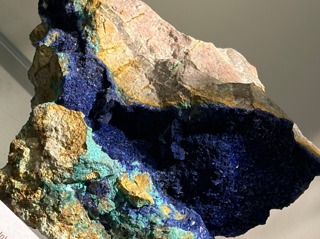 Opal Museum-布里斯班必去景点