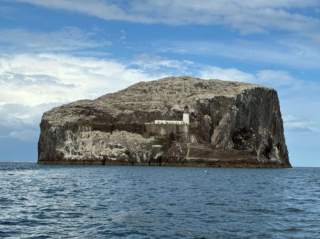 Scottish Seabird Centre-北柏威克必去景点