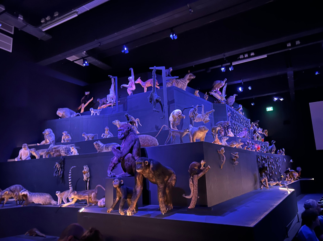 Naturalis Biodiversity Center-莱顿必去景点