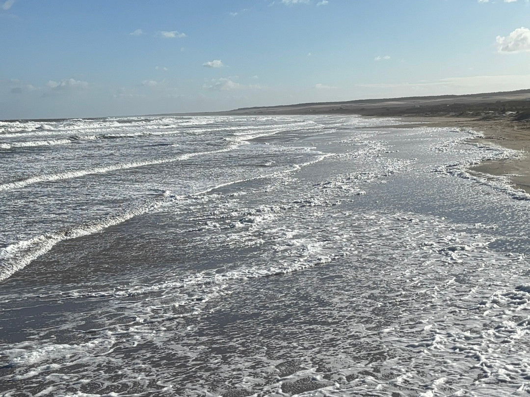 Parque Nacional de Cabo Polonio-Cabo Polonio必去景点