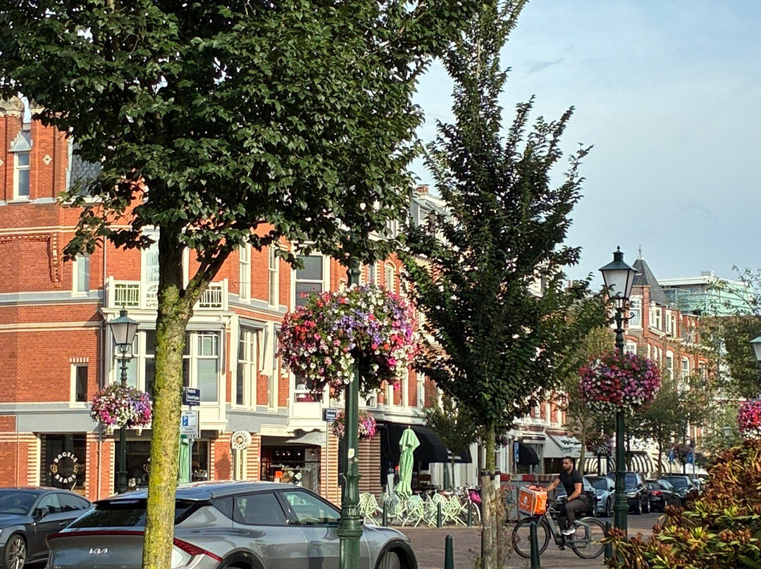 Frederik Hendrikplein-斯赫弗宁恩必去景点