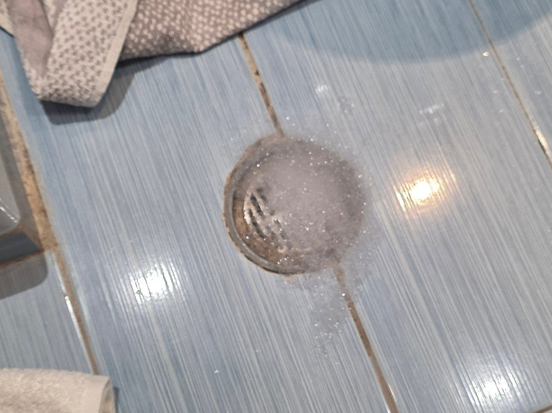 达西亚假日俱乐部主图