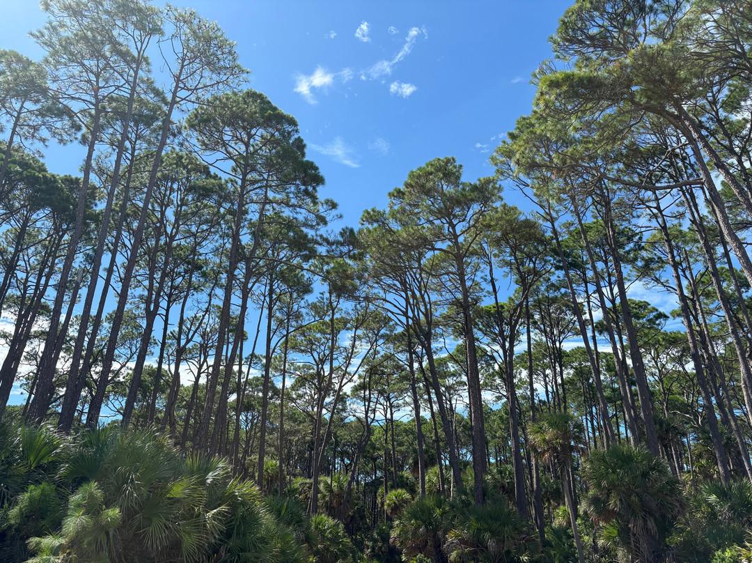 Hunting Island State Park-博福特必去景点