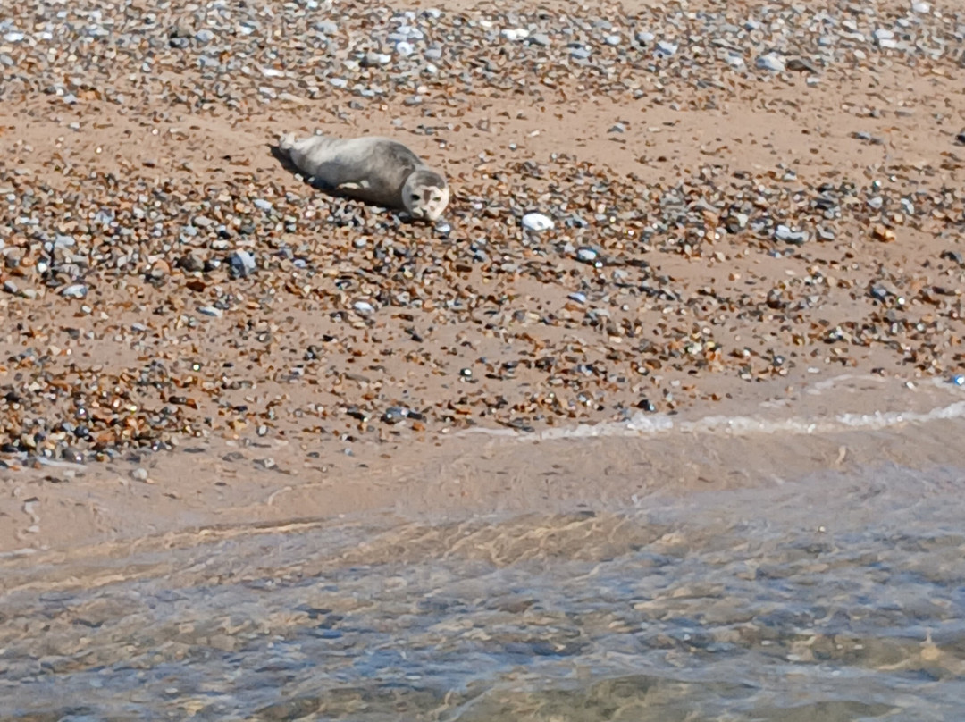 Temples Seal Trips & Blakeney Point-Morston必去景点