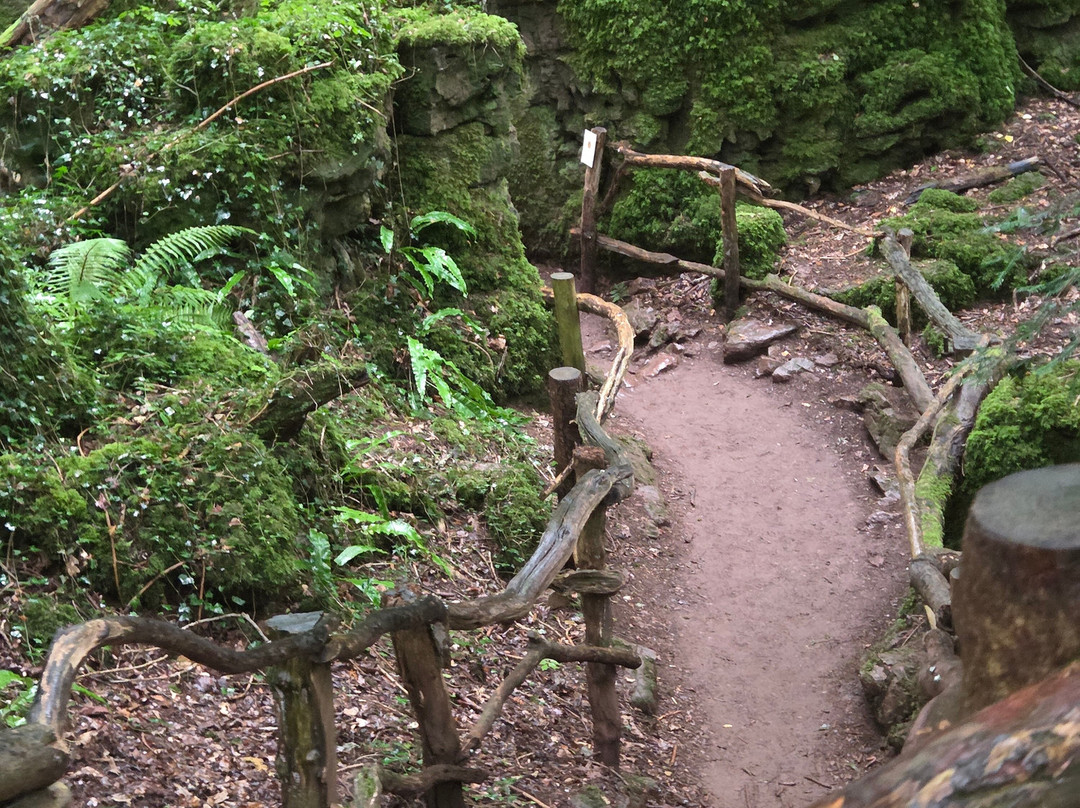 Puzzlewood-Coleford必去景点