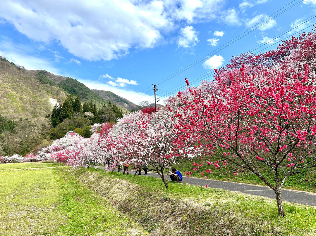 Hanamachi no Sato-阿智村必去景点