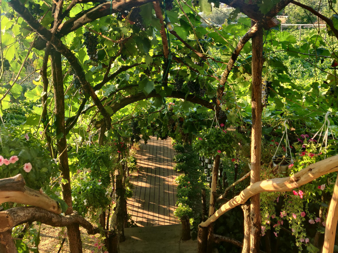Alpeta Agrotourism & Winery-培拉特必去景点