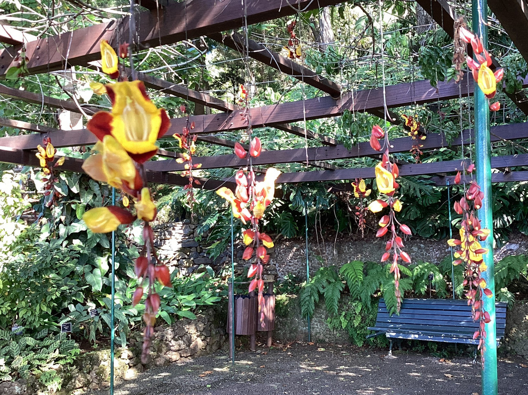 Madeira Botanical Garden-沙尔必去景点