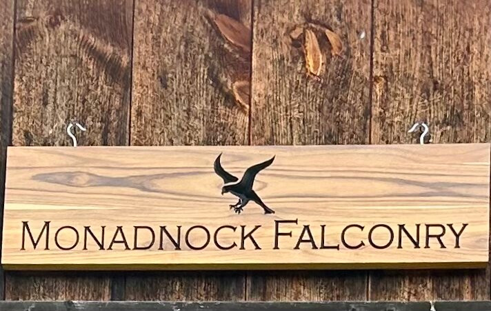 Monadnock Falconry-Temple必去景点