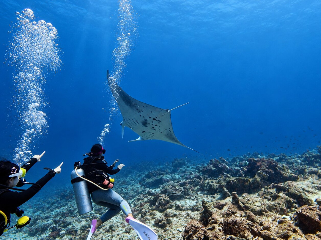 Euro-Divers Club Med Kani-卡尼翡诺岛必去景点