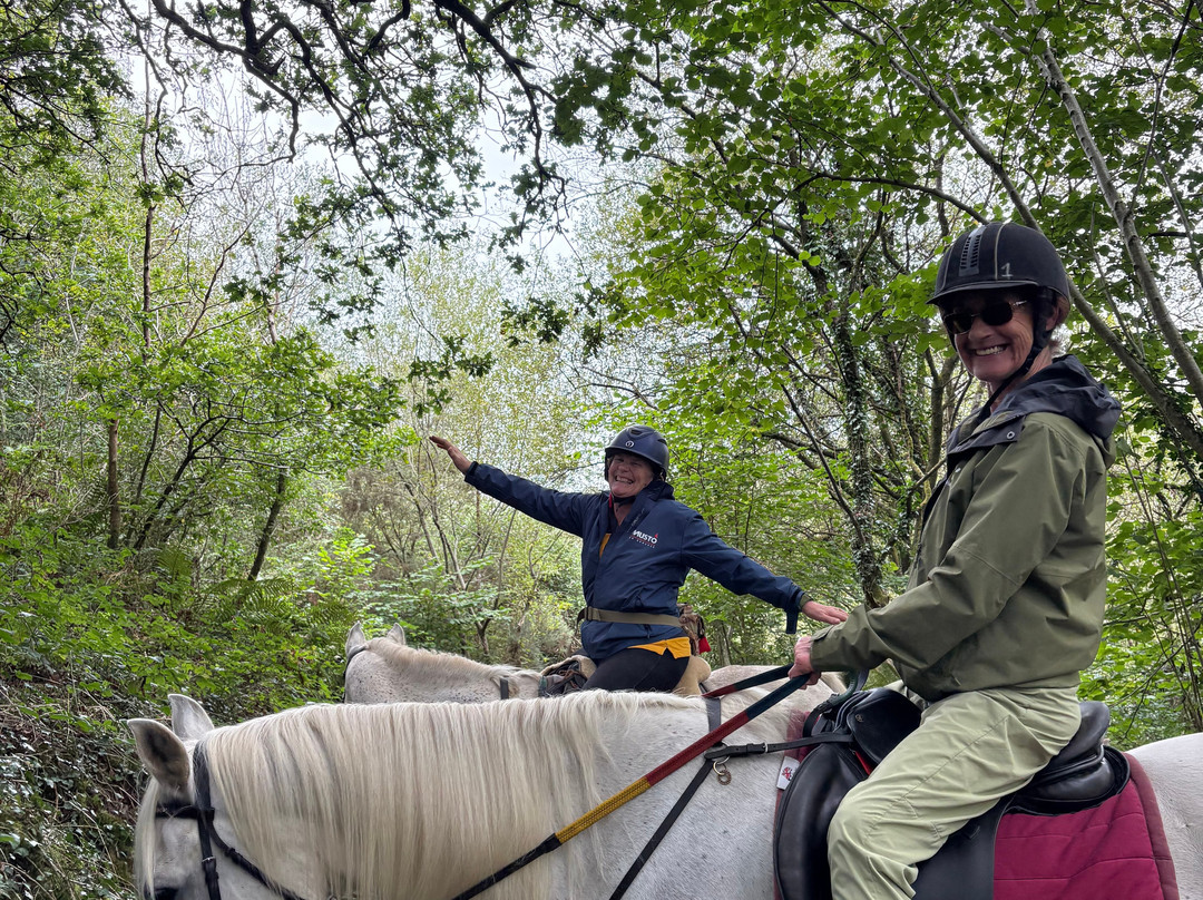 Polmartin Riding Equestrian Site-利斯卡德必去景点