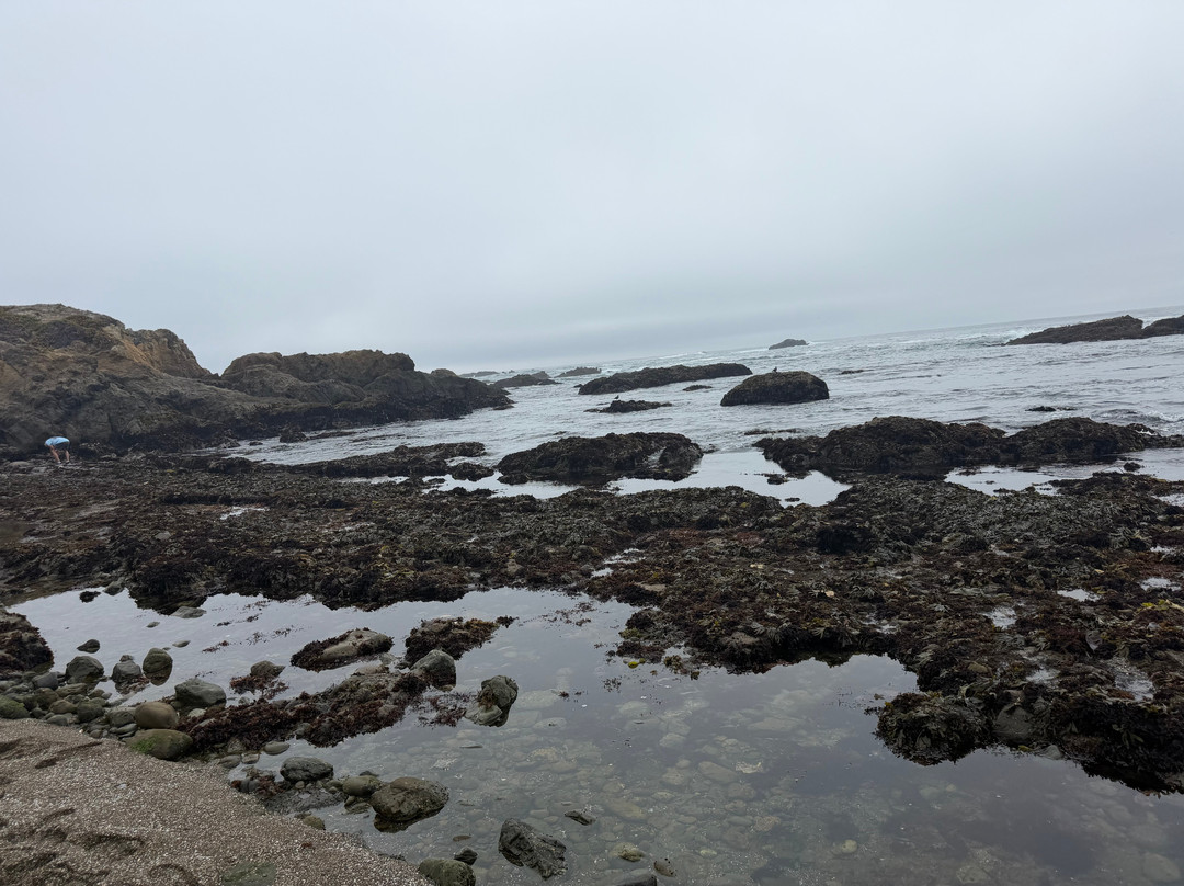 Glass Beach-布拉格堡必去景点