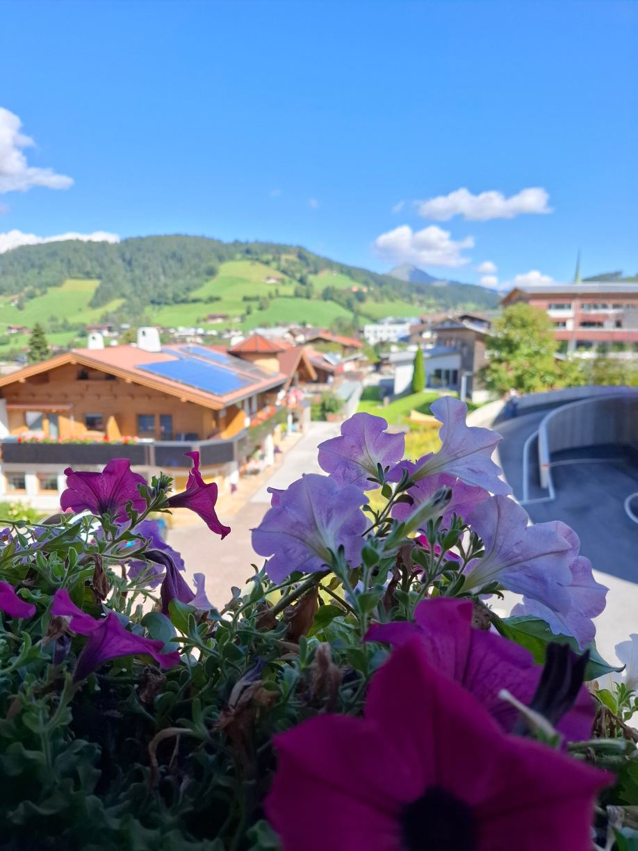 Hotel Hannes-旅行者