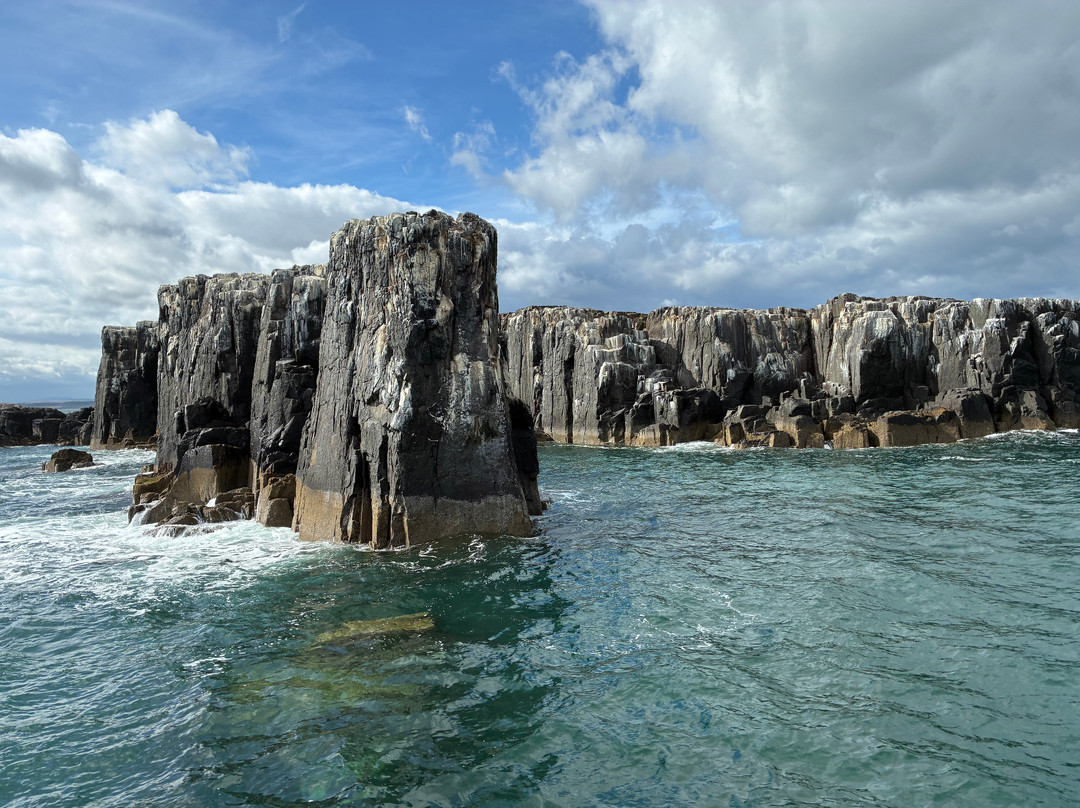 Billy Shiel's Boat Trips-Seahouses必去景点