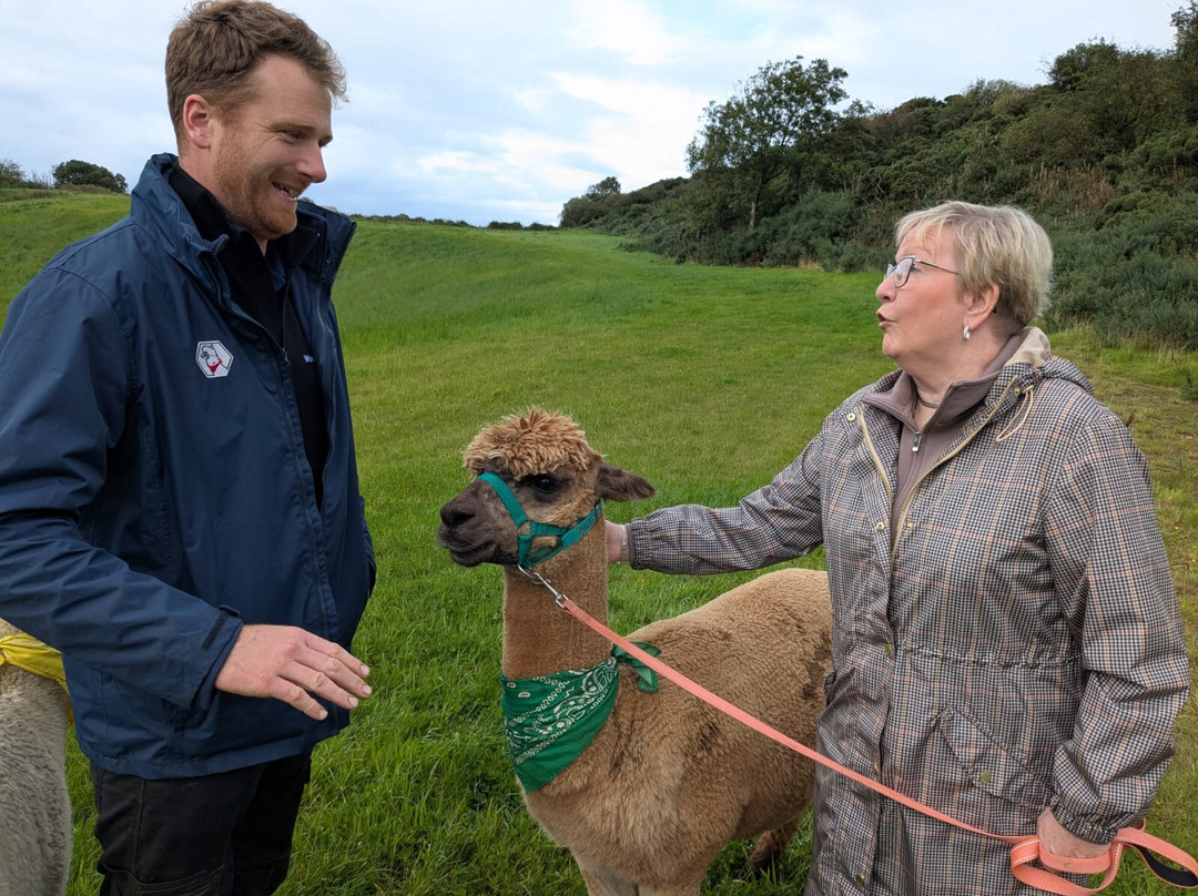 North Coast Alpacas