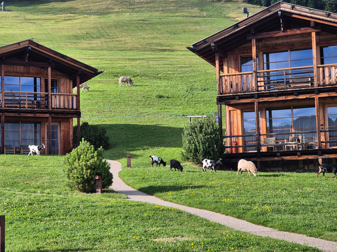 ADLER Lodge ALPE主图
