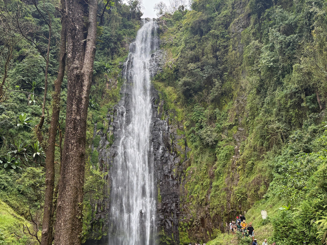 Materuni Waterfalls-Namro必去景点