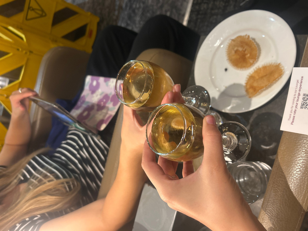 Plaza Premium Lounge Heathrow T2 Departures-伦敦必去景点