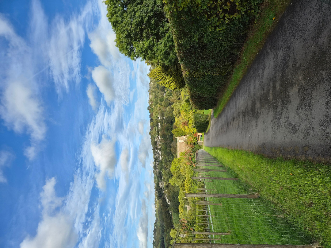 Woodchester Valley Vineyard-斯特劳德必去景点