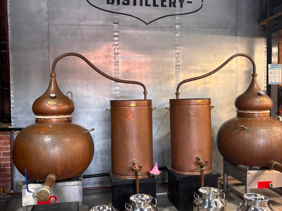 The Henley Distillery Gin Experience-泰晤士河畔亨利必去景点